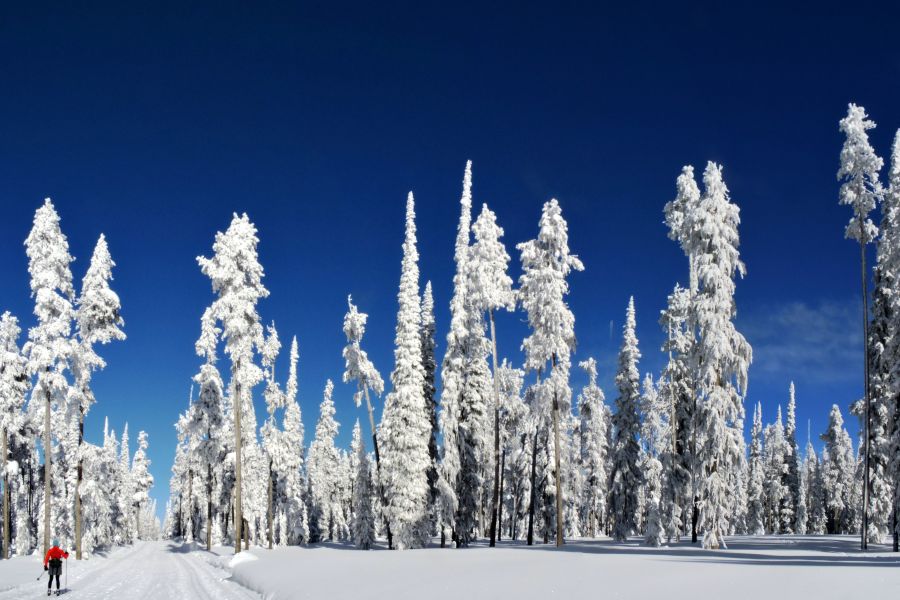 Winterurlaub in Neukirchen und der Wildkogel-Arena