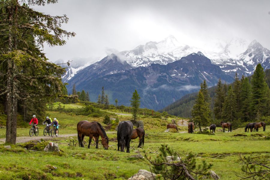 Sommerurlaub und Wandern in Neukirchen am Großvenediger