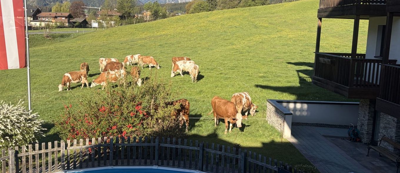 Pool, Bergblick und Almwiese beim Landhotel Rohregger in Neukirchen am Großvenediger